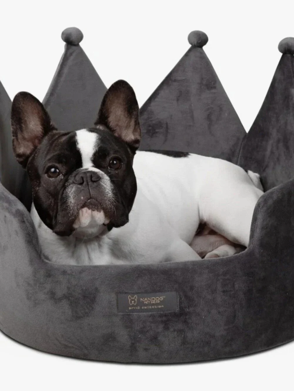 NANDOG Crown Bed Micro-Plush Bling Collection Dog & Cat Bed Dark Gray Cloud 16